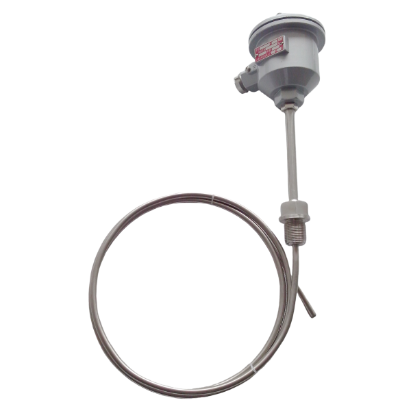 WZPK2-24双支铠装防爆热电阻-上海自动化仪表三厂