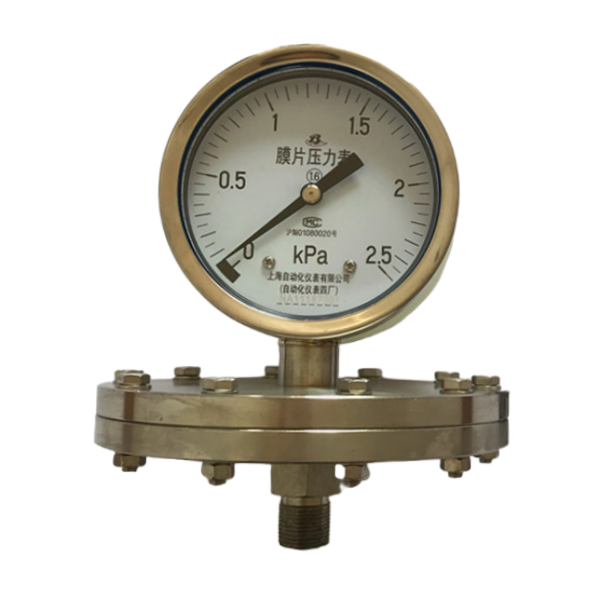 YPF-100B（0-2.5KPa）不锈钢膜片压力表