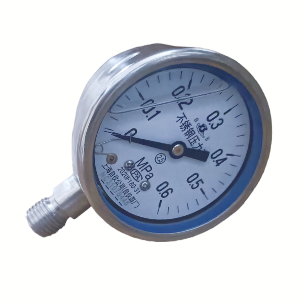 Y-60B-FZ(0-0.6MPa)不锈钢耐振压力表